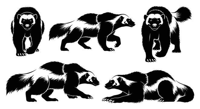Wolverine Animal Silhouettes Collection: Dynamic Poses of a Fierce Predator