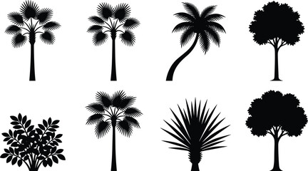 Obraz premium Tree and plant silhouette icon set featuring palm trees, broadleaf trees, bush, and spiky desert plants for landscaping, botanical design, and architectural projects
