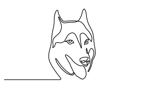 Self drawing simple animation of single continuous one line drawing Siberian Husky. Dog head, Husky head, happy dachshund simple linear drawing video. Full length motion. 4k video