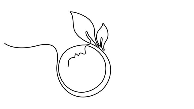 Leaf with Earth globe continuous line drawn animation. Animated linear world map with plant. Save Planet concept video. Full length one line animation. 4k video