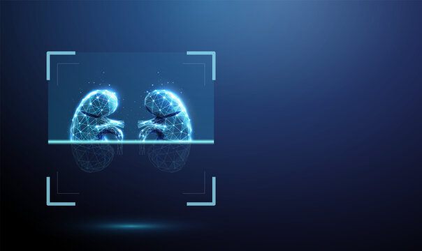 3d blue human kidneys inside digital scanning frame. Renal examination, kidney function analysis, urinary system diagnostics, disease detection, nephrology assessment concept.