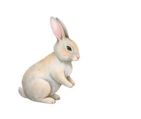 Obraz premium Watercolor Easter bunny on white background