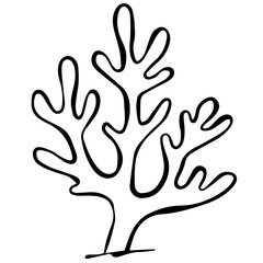 Obraz premium Minimalist Coral Line Art Illustration – Simple Ocean Reef Outline Drawing