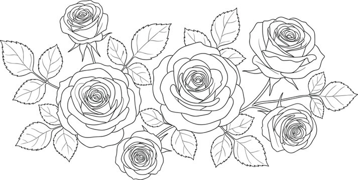 Rose bouquet illustration, black and white drawing, floral sketch, botanical art, decorative flower design, nature artwork, coloring page, flat vector illustration