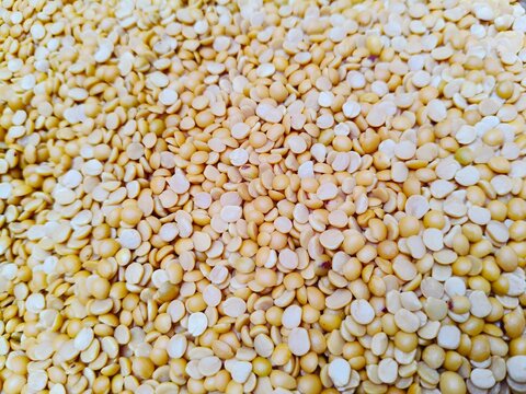 Close up shot of  Arhar or Toor dal or Split Pigeon Pea or Yellow lentils.