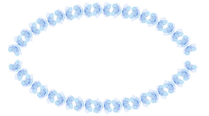 Fototapeta premium A circle made of blue and white flowers.