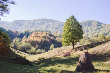 Traditional haystack in a rolling mountain meadow during autumn