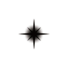 Obraz premium A black eight-pointed starburst or sparkle icon with a soft glow effect on a clean white background.