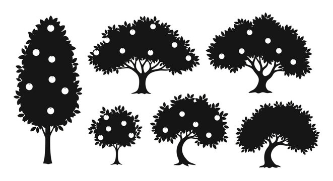 Silhouette Fruit Trees Collection: Orange, Apple, Citrus, Organic Produce Icons