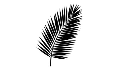 Fototapeta premium Black palm leaf silhouette on white background
