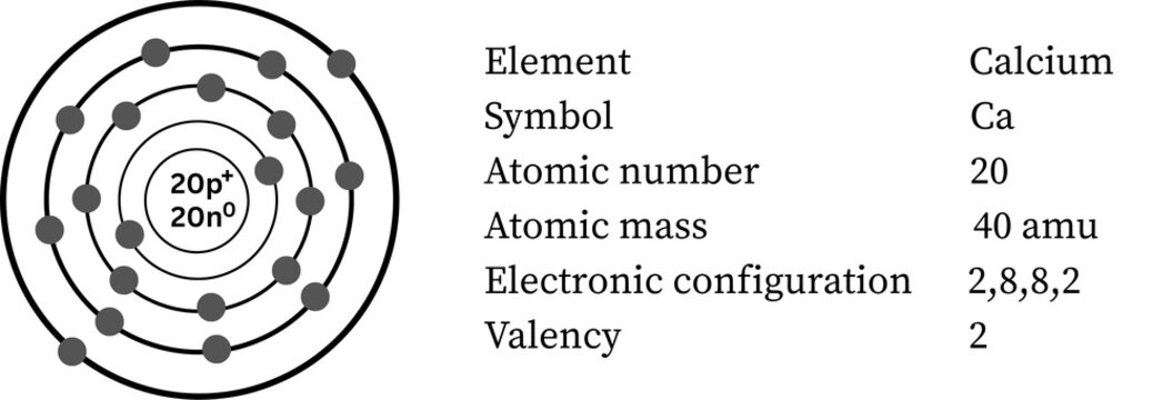Calcium atom &mdash; alkaline earth, essential for bones