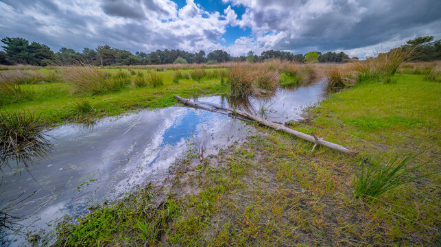 Lagunas de Cantalejo Special Protection Area, Cantalejo, Segovia, Castilla y Le&oacute;n, Spain, Europe
