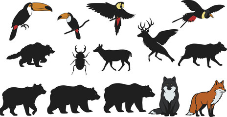 Obraz premium Wild animal silhouettes and colorful illustrations, toucan birds, deer, wolves, bears, fox, insect, wildlife vector design set