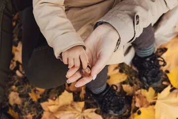 Close up of a mother and child holding a brown acorn in their hands. © Olga
