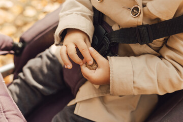 Toddler sitting in a stroller and holding an acorn in small hands. © Olga