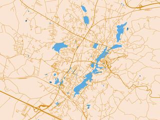 Naklejka premium Street network map — Frosinone, Italy
