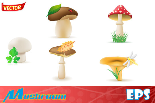 set icons natural forest mushrooms cartoon stock vector illustration