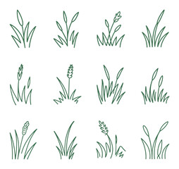 Fototapeta premium Green Grass Vector Illustration Set