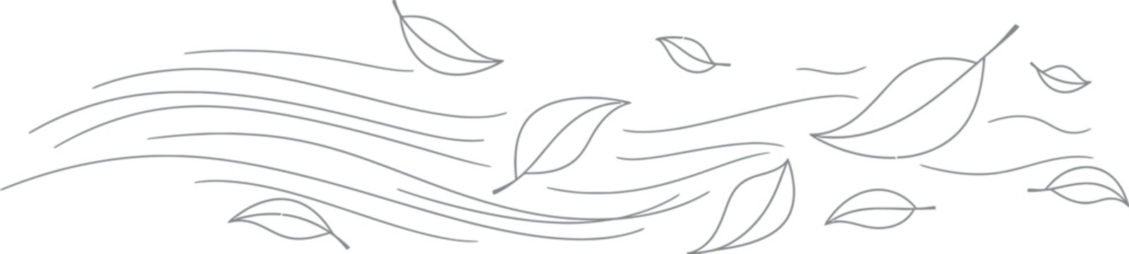 A simple black and white illustration depicting a collection of various autumn leaves gracefully being carried and blown by strong gusts of flowing wind lines.