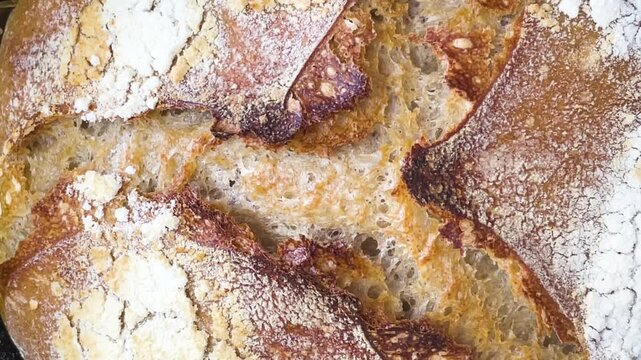 Close-up of freshly baked sourdough bread showing crust texture
