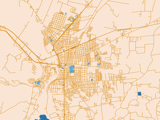 Fototapeta premium Street network map of Ocotlan, Mexico