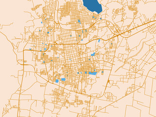 Cartographic city illustration of San Francisco del Rincon, Mexico © W&S Stock