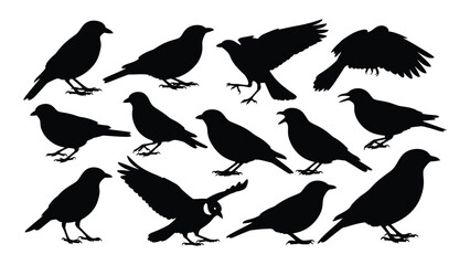 Naklejka premium Collection of black bird silhouettes in various poses