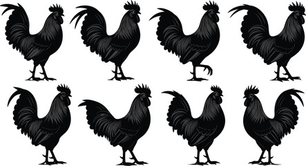 Collection Of Eight Black Rooster Silhouettes In Various Poses Hand Drawn Vintage Woodcut Style For Farm Branding Poultry Logo Design And Rustic Countryside Illustrations (25 words) © MstAshida