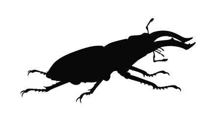 A striking black stag beetle illustration in detailed silhouette © MDSAJIB