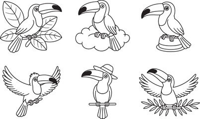 Obraz premium Toucan Bird Line Art Collection with Props line art bundle set