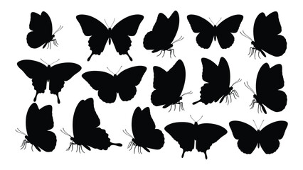 Collection of black butterfly silhouettes on white background © JASMIN