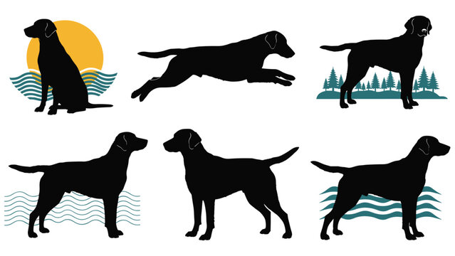 Series of black silhouettes representing a labrador retriever dog in different active poses with nature themed backgrounds.