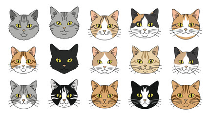 Obraz premium Grid of fifteen unique domestic cat face illustrations showing a variety of breeds and coat colors on a white background.