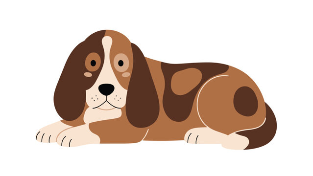 Cute basset hound dog with long ears lying down peacefully, featuring its characteristic droopy face and brown spotted fur coat.