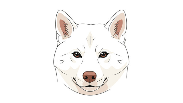Detailed head portrait of a white dog, likely a shiba inu or akita, with a calm expression on a white background.
