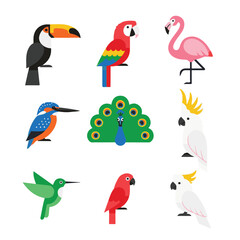 Obraz premium A vibrant collection of various colorful tropical birds including toucan, macaw, flamingo, kingfisher, peacock, cockatoo, hummingbird, and parrot illustrations.