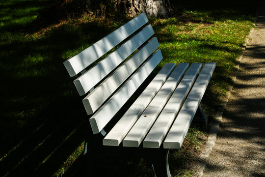 Lonely white park bench in peaceful green nature with sunlight