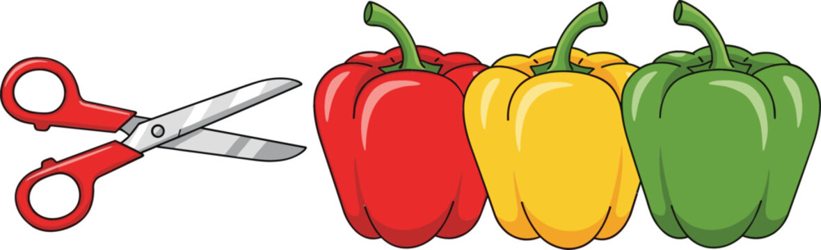Red scissors and colorful bell peppers collection, fresh vegetable vector illustration for cooking, kitchen, healthy food and grocery design projects