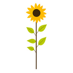 Fototapeta premium Sunflower Illustration Isolated, Single Stem with Green Leaves - Simple Vector Design, Summer Flower Icon, Botanical Graphic on White Background for Print and Web Design Projects