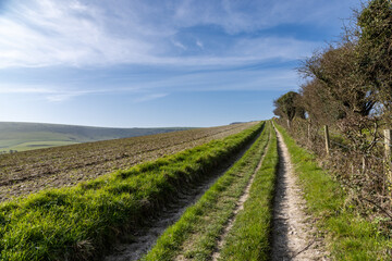 Naklejka premium A pathway running alongside farmland in the South Downs, with a blue sky overhead