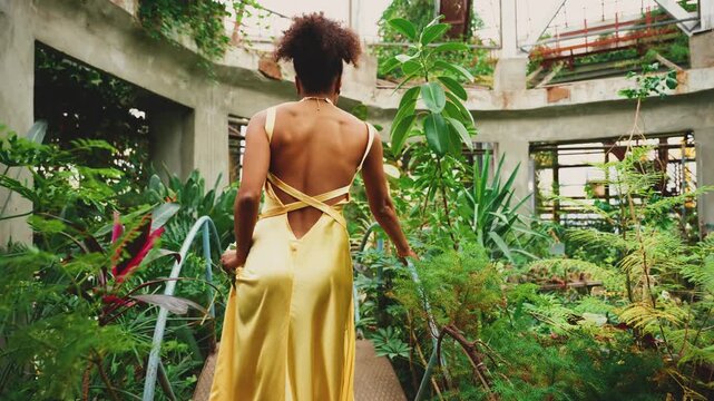 Elegant glamour girl fashion model walking in old greenhouse gothic garden overgrown with plants tropical green tree plants. African american sexy woman rear view lady dark black hair skin open back.