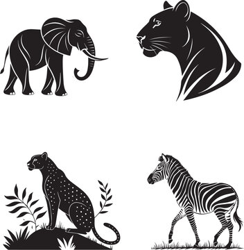 zebra vector illustration