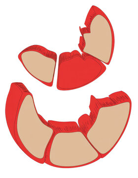 Broken red and beige dental denture on black isolated on a transparent background