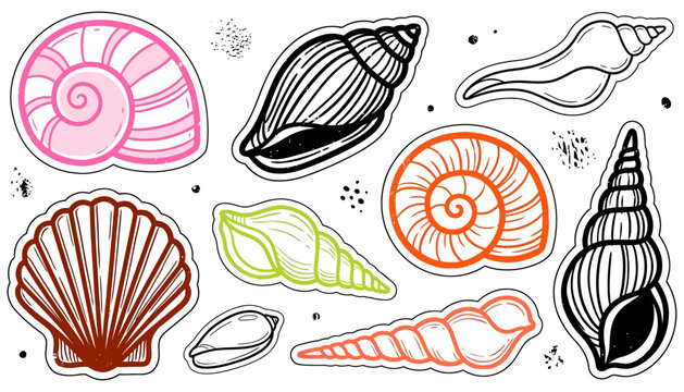 A collection of colorful hand drawn seashells and spiral shells each outlined with a thick black stroke presented as sticker like graphics ocean beach summer marine nature