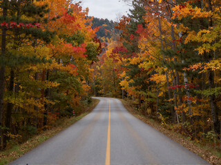 Naklejka premium Winding country road through Vermont forest in autumn