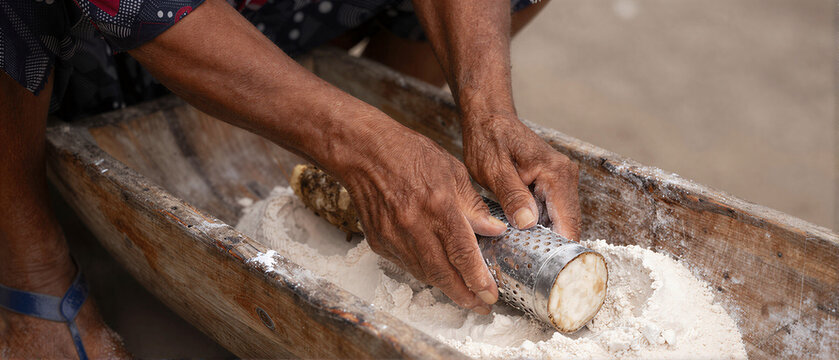 Women processing manioc roots for flour