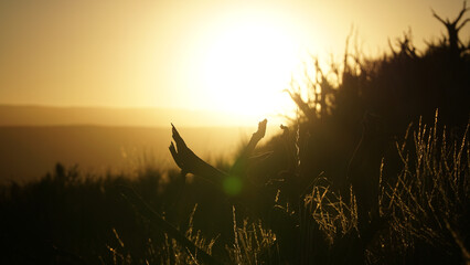 Rocky Mountains Nature Landscapes near Boulder, USA. © Christopher