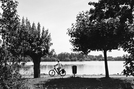 Lone Cyclist Riding Between Trees Along Peaceful Riverside Prome