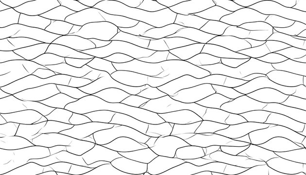 Black web-like lines create a cracked, abstract texture across a plain white background, resembling broken glass or parched earth