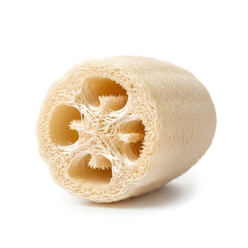 Closeup view of a natural loofah sponge for body care and exfoliation.